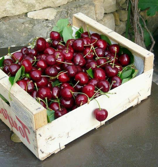 Cherries — fresh delivery across Scotland by RM Mangoes