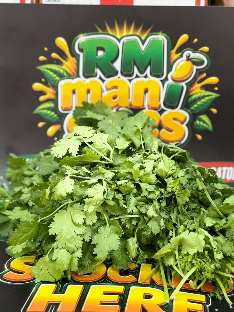Coriander Bunch — fresh delivery across Scotland by RM Mangoes
