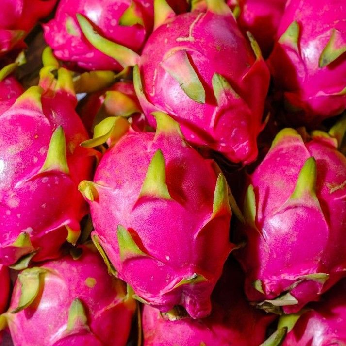 Dragon Fruit — fresh delivery across Scotland by RM Mangoes