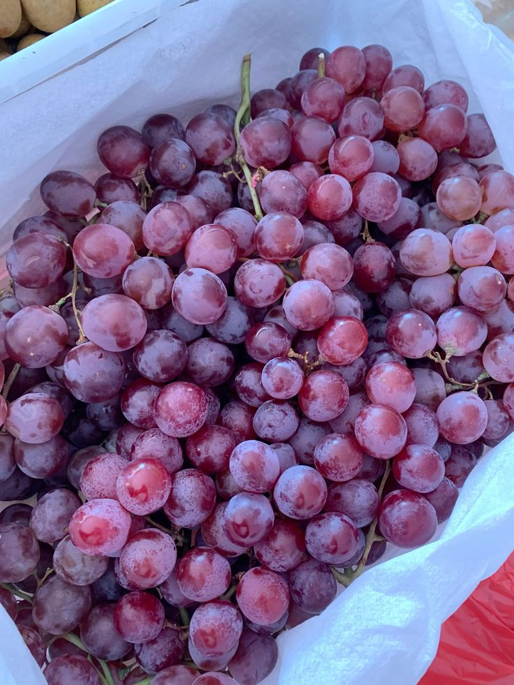 Red Grapes — fresh delivery across Scotland by RM Mangoes