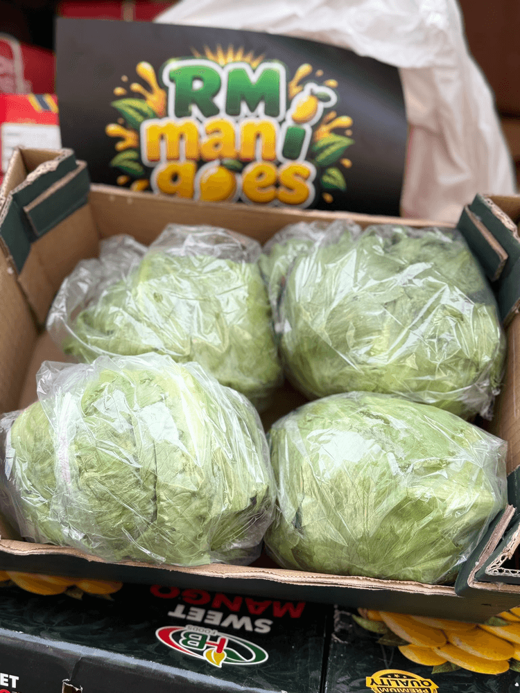 Lettuce — fresh delivery across Scotland by RM Mangoes