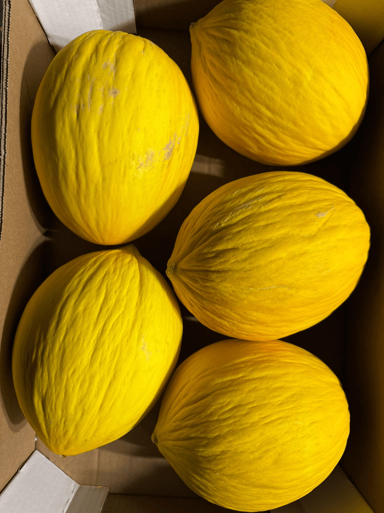 Melon — fresh delivery across Scotland by RM Mangoes