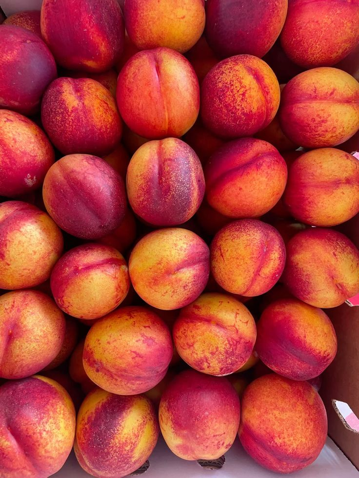 Nectarine — fresh delivery across Scotland by RM Mangoes