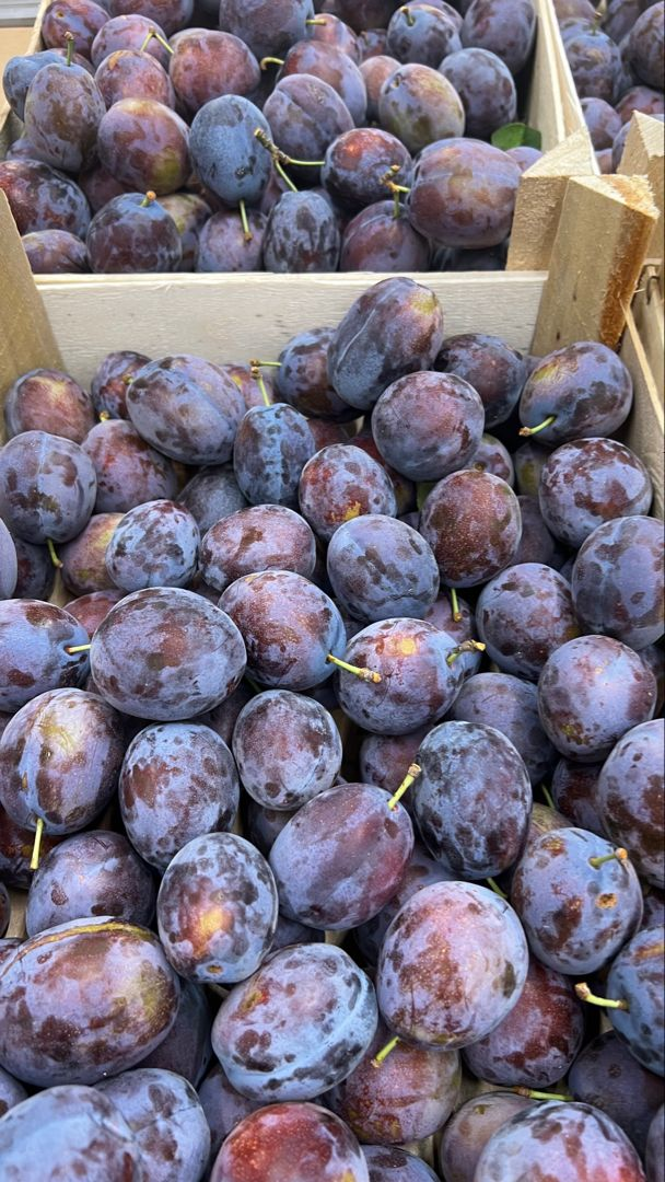 Plum — fresh delivery across Scotland by RM Mangoes