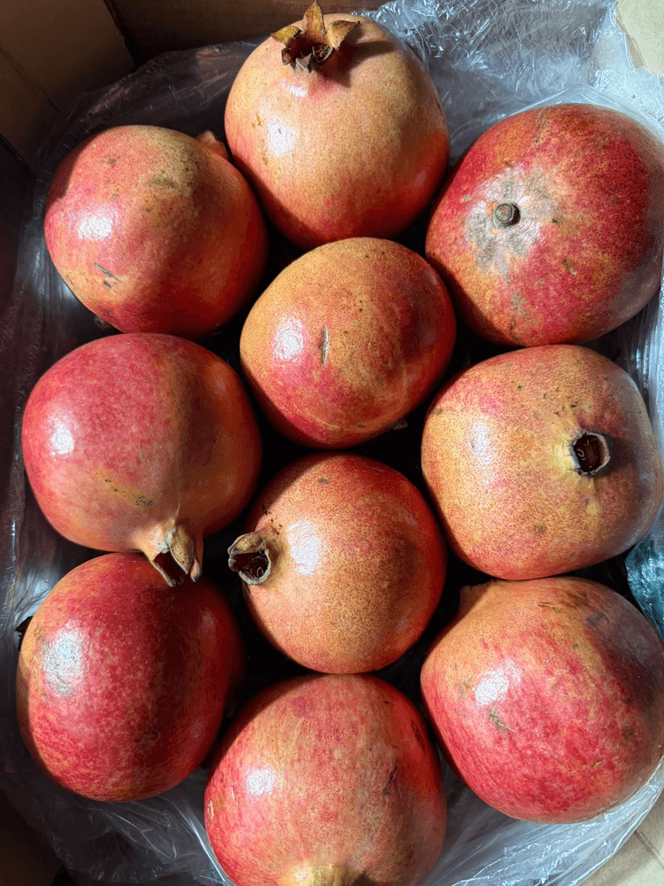 Pomegranate — fresh delivery across Scotland by RM Mangoes