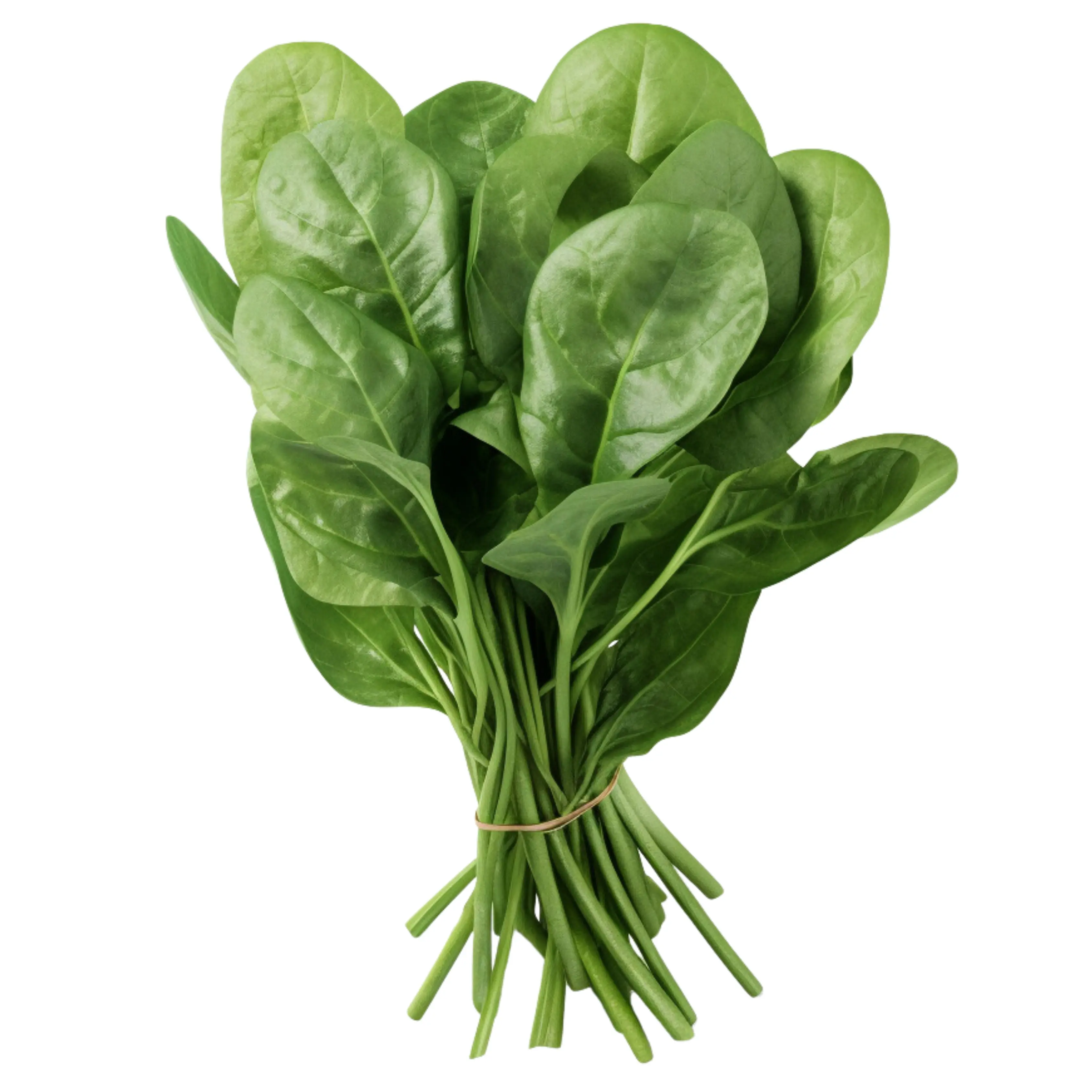 Spinach — fresh delivery across Scotland by RM Mangoes